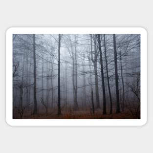 Spooky forest and mist Sticker